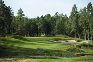 1900 S Monkshood Rd, Show Low, AZ 85901 - Photo 45