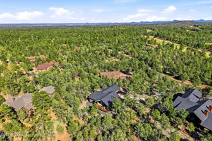 1900 S Monkshood Rd, Show Low, AZ 85901 - Photo 43