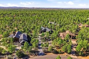 1900 S Monkshood Rd, Show Low, AZ 85901 - Photo 39