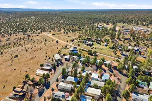 2703 Rustlers Roost, Overgaard, AZ 85933 - Photo 27