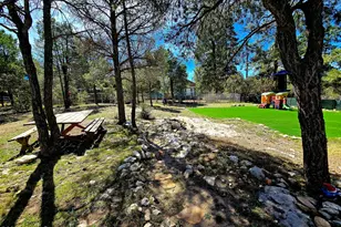 3163 Tonto Dr, Heber, AZ 85928 - Photo 33