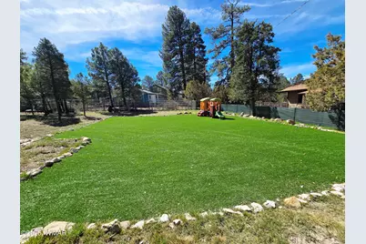 3163 Tonto Drive, Heber, AZ 85928 - Photo 3