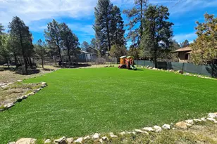 3163 Tonto Dr, Heber, AZ 85928 - Photo 3