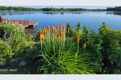 2550 Bald Eagle Point, Lakeside, AZ 85929 - Photo 67