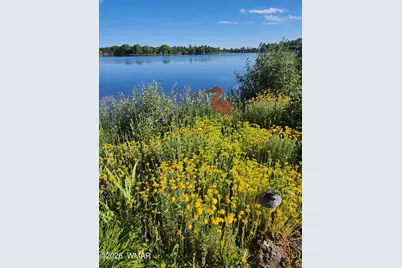 2550 Bald Eagle Point, Lakeside, AZ 85929 - Photo 69