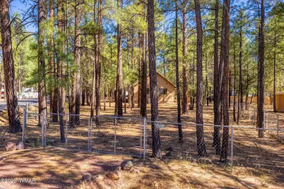 1148 N 43rd Drive, Show Low, AZ 85901 - Photo 3