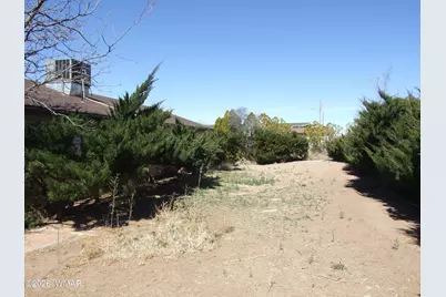 430 S Love Lake Circle, Taylor, AZ 85939 - Photo 23