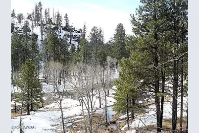 3369 Windy Lane, Heber, AZ 85928 - Photo 1