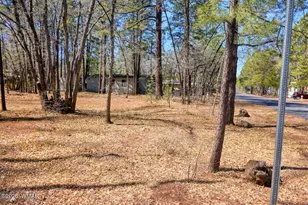 4446 Bucking Horse Trail, Pinetop, AZ 85935 - Photo 1