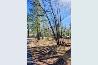 4446 Bucking Horse Trail, Pinetop, AZ 85935 - Photo 3