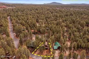 3236 Turkey Track Rd, Pinetop, AZ 85935 - Photo 37