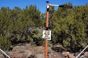 45 County Rd, Vernon, AZ 85940 - Photo 5