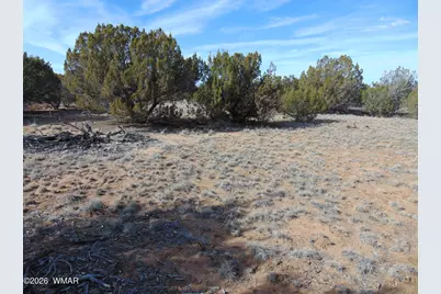 51 &amp; 49 County Road 8243 Road, Vernon, AZ 85940 - Photo 9