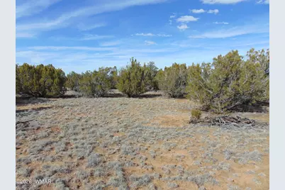 51 &amp; 49 County Road 8243 Road, Vernon, AZ 85940 - Photo 5