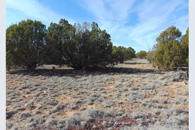 51 &amp; 49 County Road 8243 Road, Vernon, AZ 85940 - Photo 17