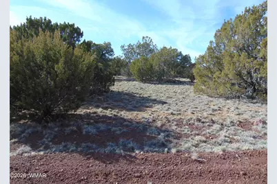 51 &amp; 49 County Road 8243 Road, Vernon, AZ 85940 - Photo 13