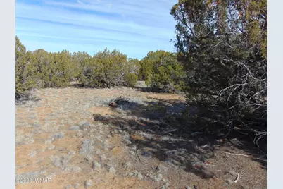 51 &amp; 49 County Road 8243 Road, Vernon, AZ 85940 - Photo 11