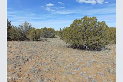 51 &amp; 49 County Road 8243 Road, Vernon, AZ 85940 - Photo 1