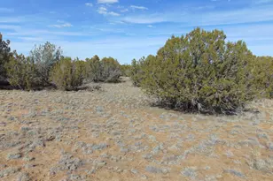 51 &amp 49 County Road 8243 Rd, Vernon, AZ 85940 - Photo 1