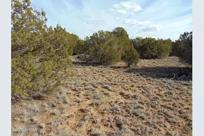 51 &amp; 49 County Road 8243 Road, Vernon, AZ 85940 - Photo 3