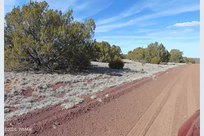 51 &amp; 49 County Road 8243 Road, Vernon, AZ 85940 - Photo 19