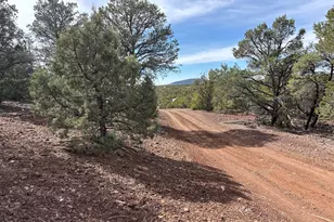 40 N3129, Vernon, AZ 85940 - Photo 39