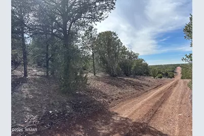 40 N3129, Vernon, AZ 85940 - Photo 45