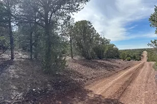 40 N3129, Vernon, AZ 85940 - Photo 45