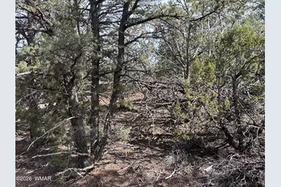 40 N3129, Vernon, AZ 85940 - Photo 43