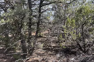 40 N3129, Vernon, AZ 85940 - Photo 43