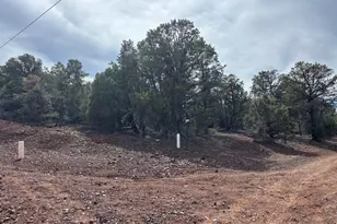 40 N3129, Vernon, AZ 85940 - Photo 37