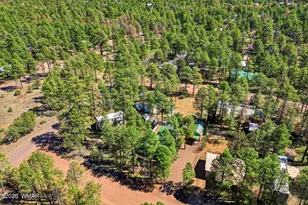 2893 Tracy Rd, Overgaard, AZ 85933 - Photo 25