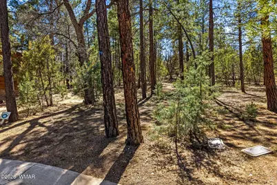 5039 Winter Hawk Court, Lakeside, AZ 85929 - Photo 9