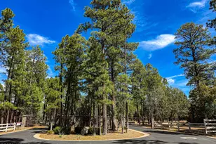 5039 Winter Hawk Ct, Lakeside, AZ 85929 - Photo 1