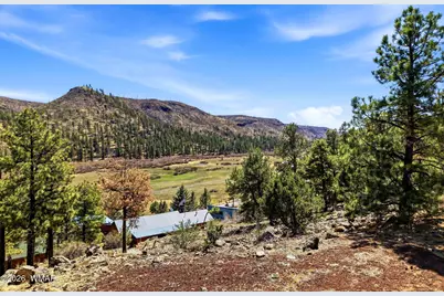 2 Country Road  1013, Greer, AZ 85927 - Photo 3