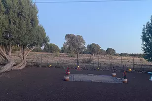 8211 Lake Shore Dr Unit Lot 391, Show Low, AZ 85901 - Photo 11