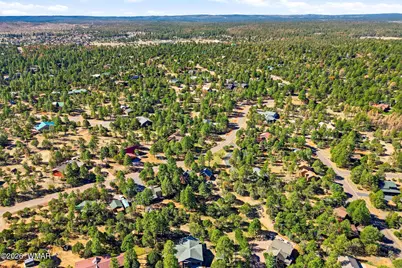 2232 Forest Park Drive, Overgaard, AZ 85933 - Photo 43