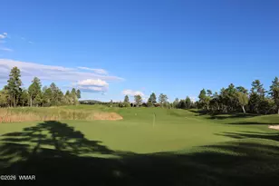 910 S Barberry Ln, Show Low, AZ 85901 - Photo 67