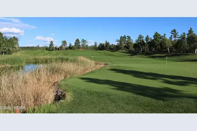 910 S Barberry Lane, Show Low, AZ 85901 - Photo 65