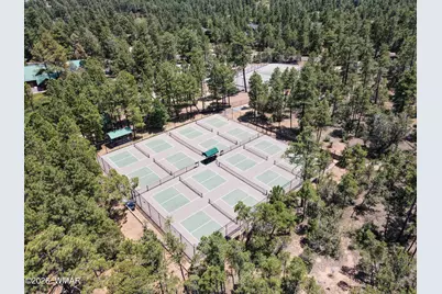 910 S Barberry Lane, Show Low, AZ 85901 - Photo 57