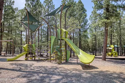 910 S Barberry Lane, Show Low, AZ 85901 - Photo 59