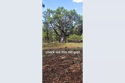 7 N3065, Vernon, AZ 85940 - Photo 11