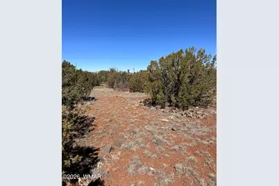 8490 Canyon Drive, Show Low, AZ 85901 - Photo 1