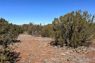 8490 Canyon Dr, Show Low, AZ 85901 - Photo 1