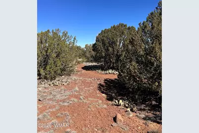 8490 Canyon Drive, Show Low, AZ 85901 - Photo 3