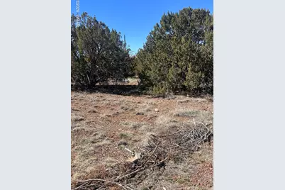 8489 Rifle Drive, Show Low, AZ 85901 - Photo 1