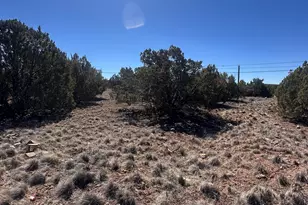 1795 Cox Dr, Show Low, AZ 85901 - Photo 1