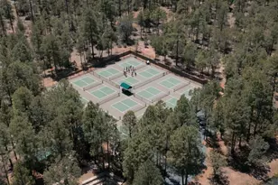 2540 W Pinegrass Rd, Show Low, AZ 85901 - Photo 13