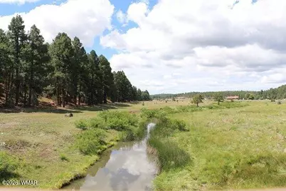 661 S Rock Creek Drive, Show Low, AZ 85901 - Photo 7