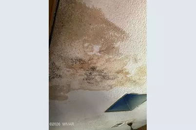 741 S 29th Avenue, Show Low, AZ 85901 - Photo 5